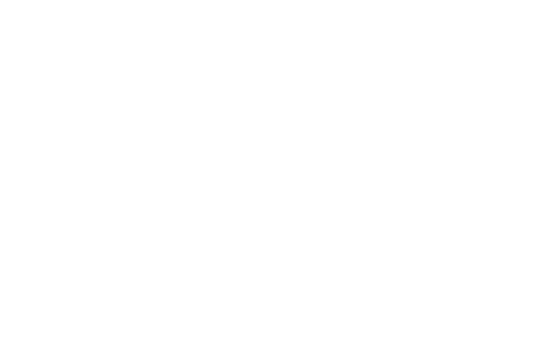 VOGO Express